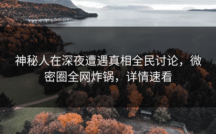 神秘人在深夜遭遇真相全民讨论，微密圈全网炸锅，详情速看