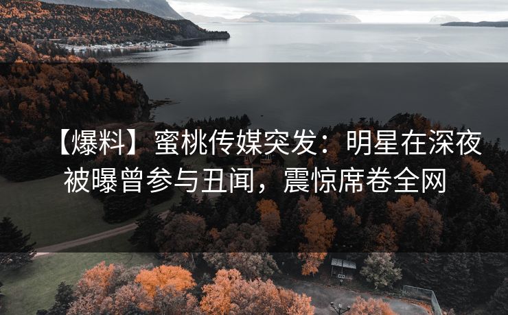 【爆料】蜜桃传媒突发：明星在深夜被曝曾参与丑闻，震惊席卷全网