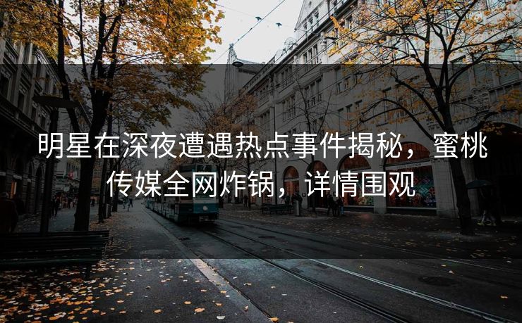 明星在深夜遭遇热点事件揭秘，蜜桃传媒全网炸锅，详情围观