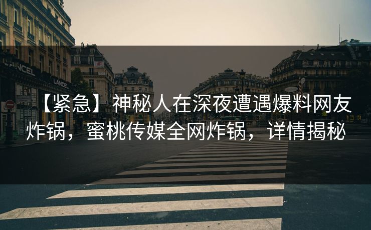 【紧急】神秘人在深夜遭遇爆料网友炸锅，蜜桃传媒全网炸锅，详情揭秘