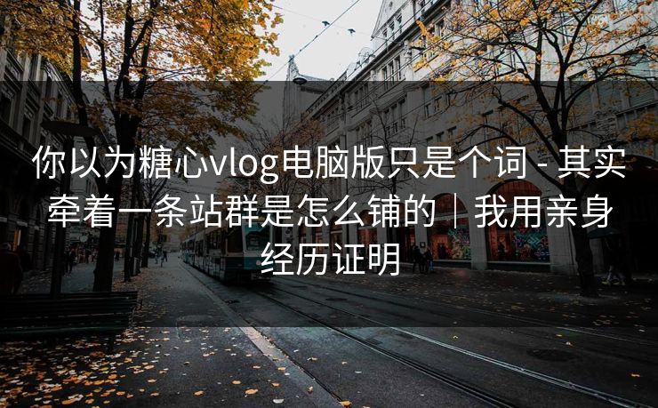 你以为糖心vlog电脑版只是个词 - 其实牵着一条站群是怎么铺的｜我用亲身经历证明