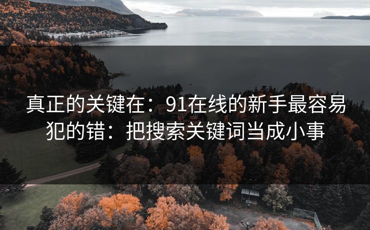 真正的关键在：91在线的新手最容易犯的错：把搜索关键词当成小事